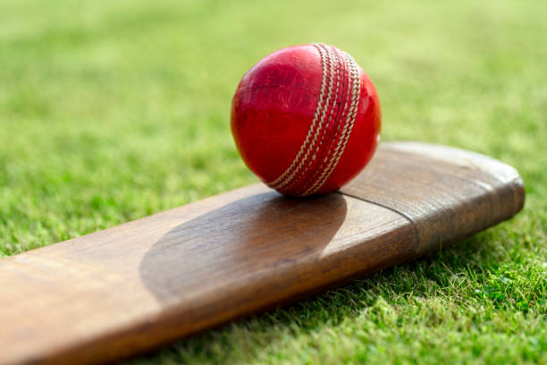 Cricket ball resting on a cricket bat on green grass of cricket pitch